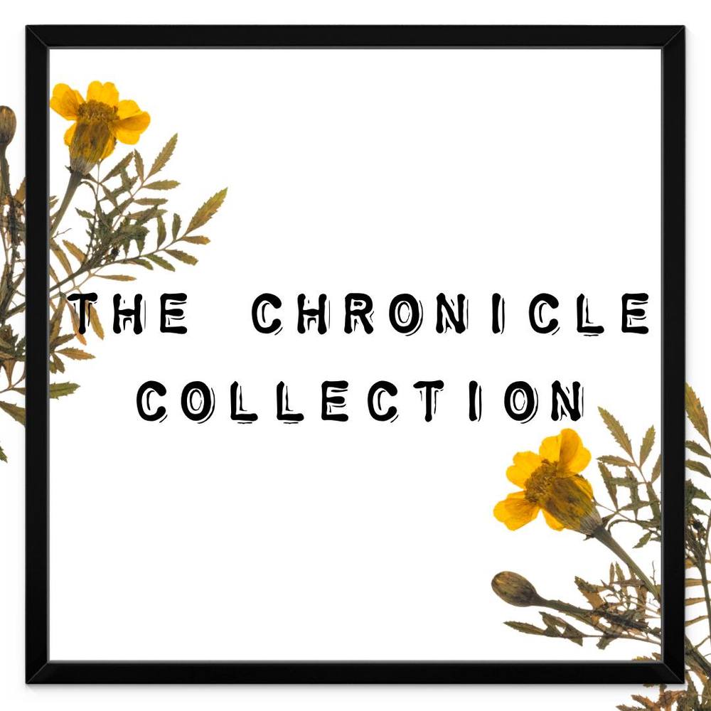 Meet your Posher, Idalis